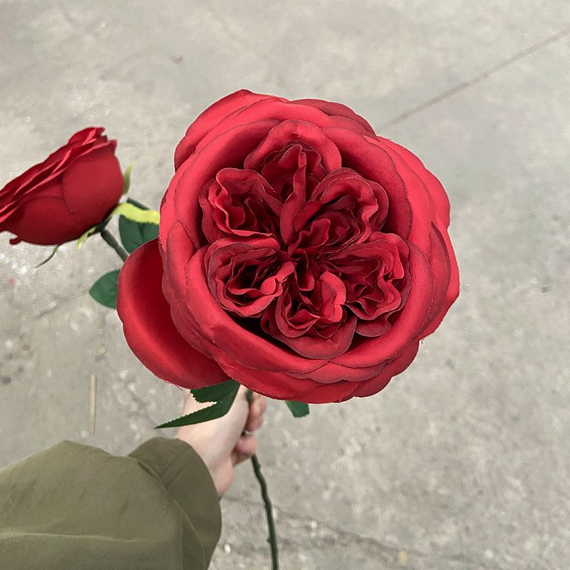 Single-headed Austin rose, a new cold-toned wild silk flower from Nordic home, artificial autumn rose Specification image