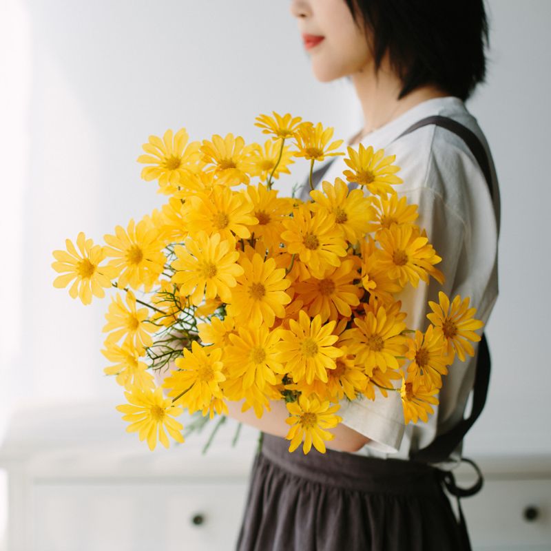 5 Dutch daisies, small daisies, Persian daisies, artificial flowers, silk flowers, wild daisies, artificial flowers, daisies for wedding decoration wholesale Item Picture