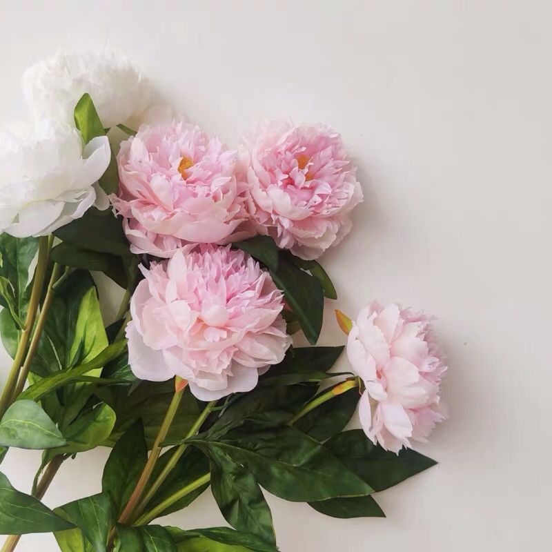 High-quality peony artificial flowers in pink and white for living room decoration, artificial flowers for Internet celebrity shooting props, and space display design Application Scenario