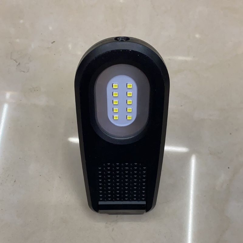 Electric Torch full figure