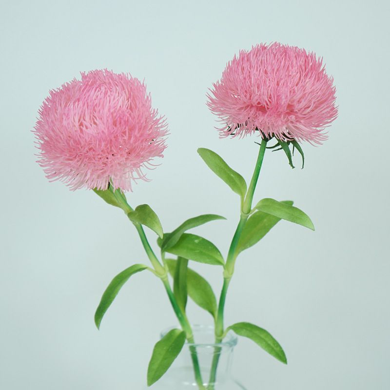 Green carnations, ultra-realistic tactile simulation flowers, home decoration, flower arrangements, flower ornaments, photography props, artificial flowers wholesale Specification image