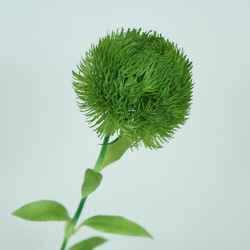 Green carnations, ultra-realistic tactile simulation flowers, home decoration, flower arrangements, flower ornaments, photography props, artificial flowers wholesale