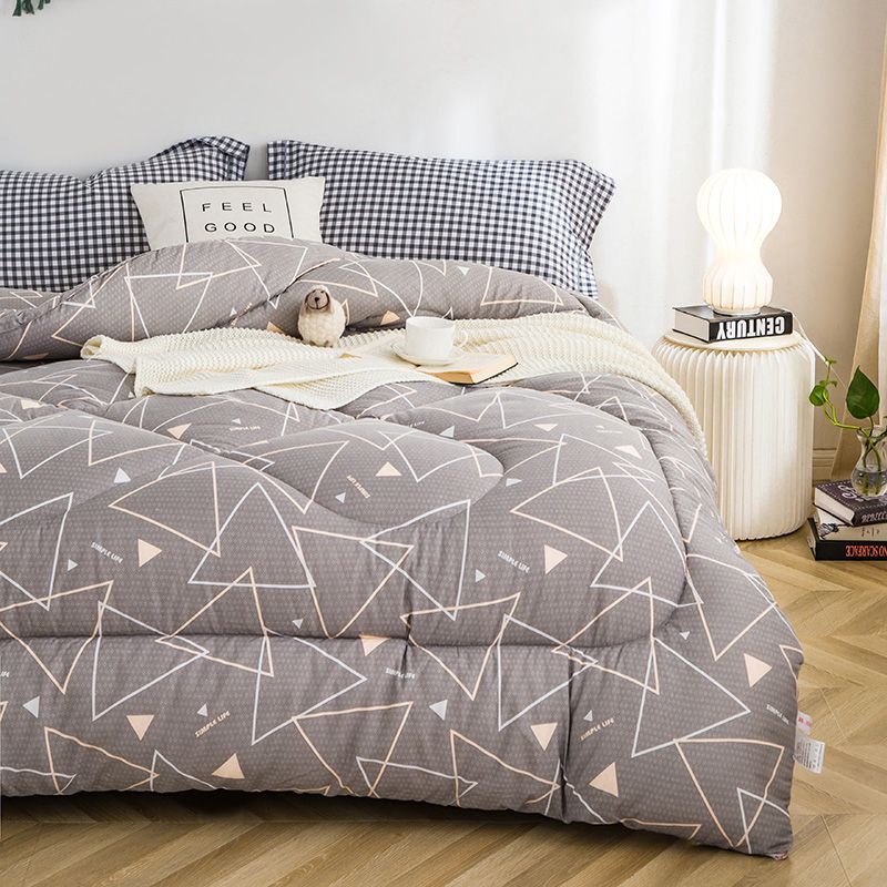Bedding 2022 new aloe cotton printed winter quilt thickened winter quilt core - geometric impression Application Scenario