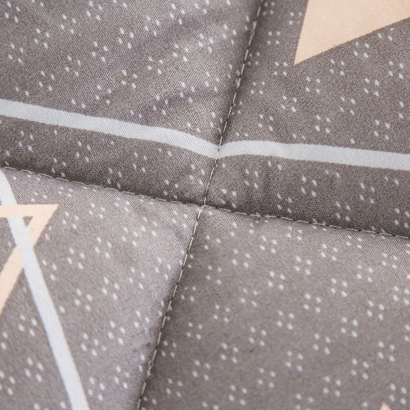 Bedding 2022 new aloe cotton printed winter quilt thickened winter quilt core - geometric impression details Picture