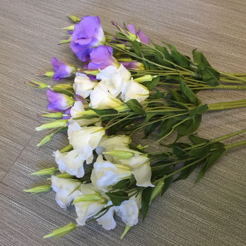 Direct sales and wholesale of high-end artificial bellflower wedding floral art samples and wedding bouquets from the manufacturer Item Picture