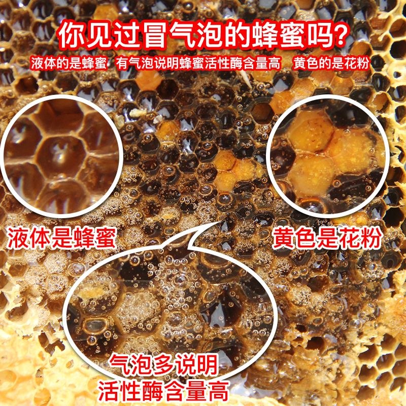 浙江老字号蜂御医 深山土蜂蜜  80年老品牌 0添加纯正蜂蜜详情图1