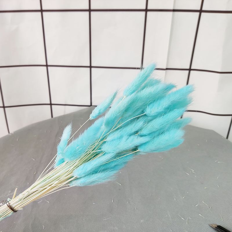 A bouquet of 60 dried flowers, home store decoration items, rabbit tail grass, real flowers, preserved flowers, dog tail grass details Picture