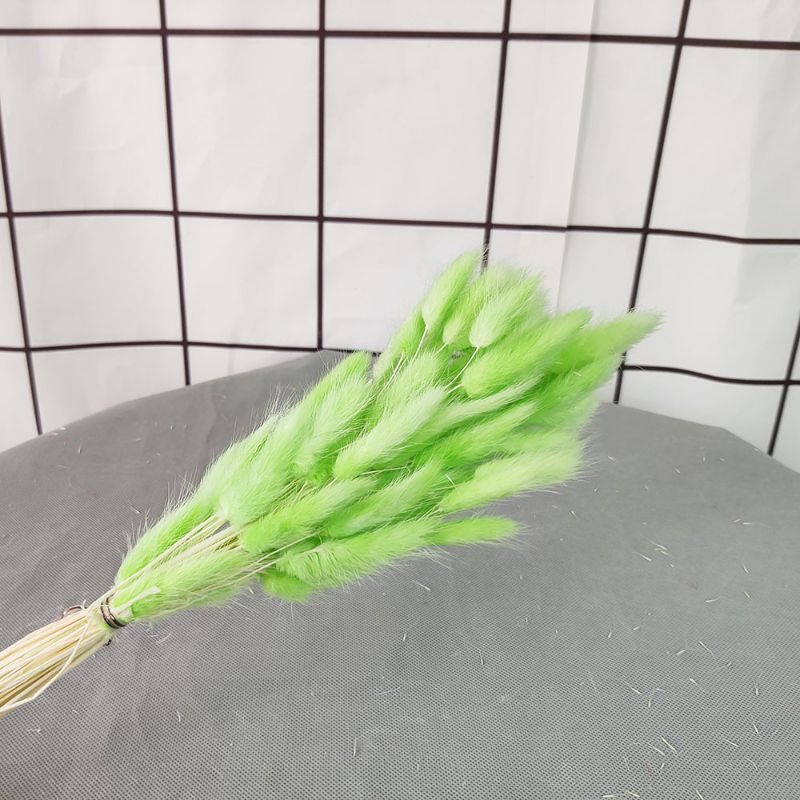 A bouquet of 60 dried flowers, home store decoration items, rabbit tail grass, real flowers, preserved flowers, dog tail grass Application Scenario