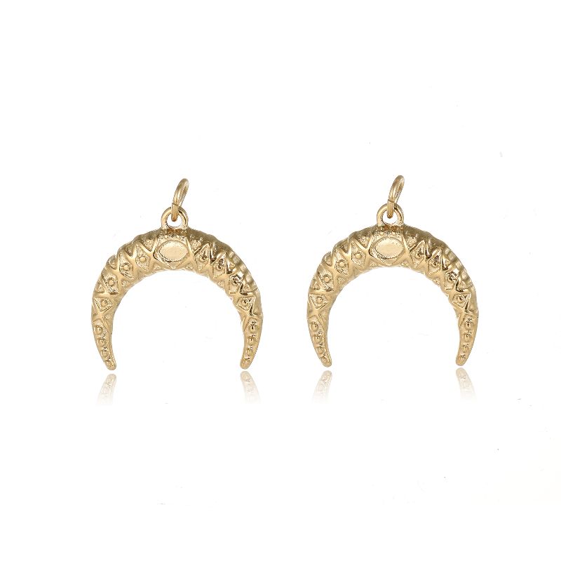 Stainless steel jewelry accessories earrings Specification image