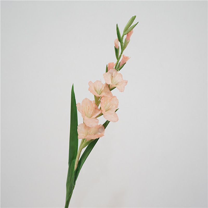 High-quality European-style artificial flowers, soft rubber gladiolus, home decoration, flower arrangement, wedding flower art, wholesale of artificial flowers Item Picture