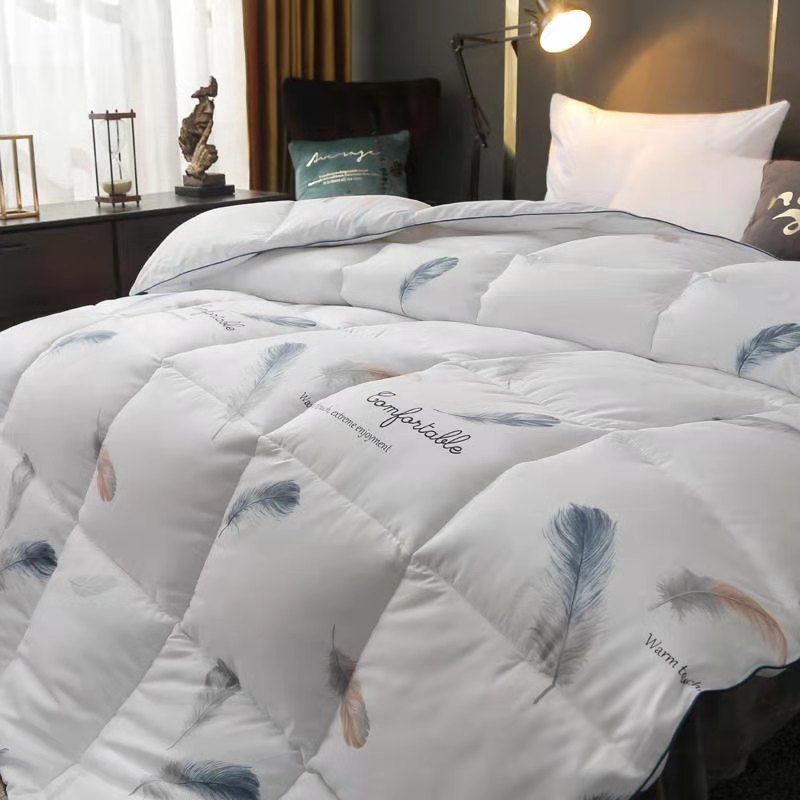 ywxuege new eiderdown comforter core Winter warm eiderdown winter comforter (model picture) - Hair scattered - white Item Picture
