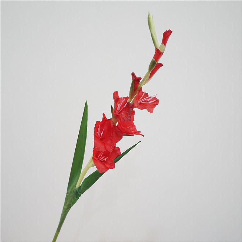 High-quality European-style artificial flowers, soft rubber gladiolus, home decoration, flower arrangement, wedding flower art, wholesale of artificial flowers