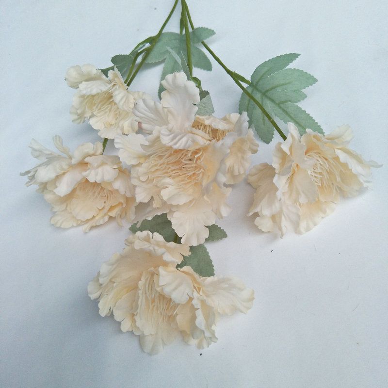 وقد زوِّد الصانع ستة ازهار مزيفة في تيانجين Item Picture