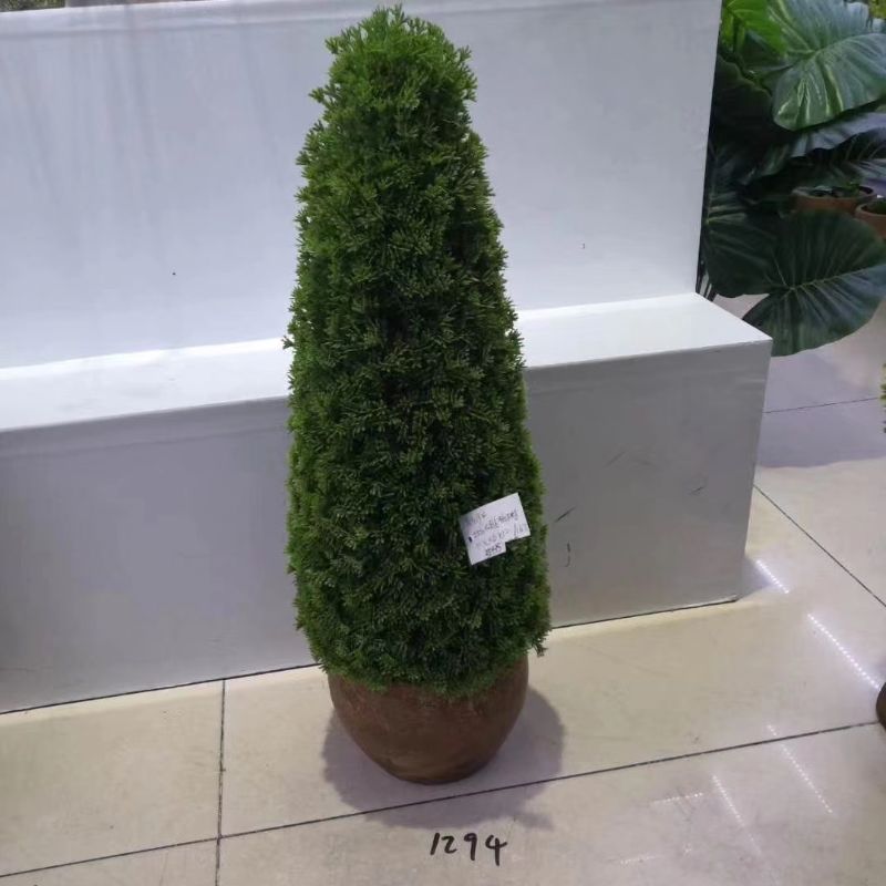 "Fresh and clean plants" Specification image