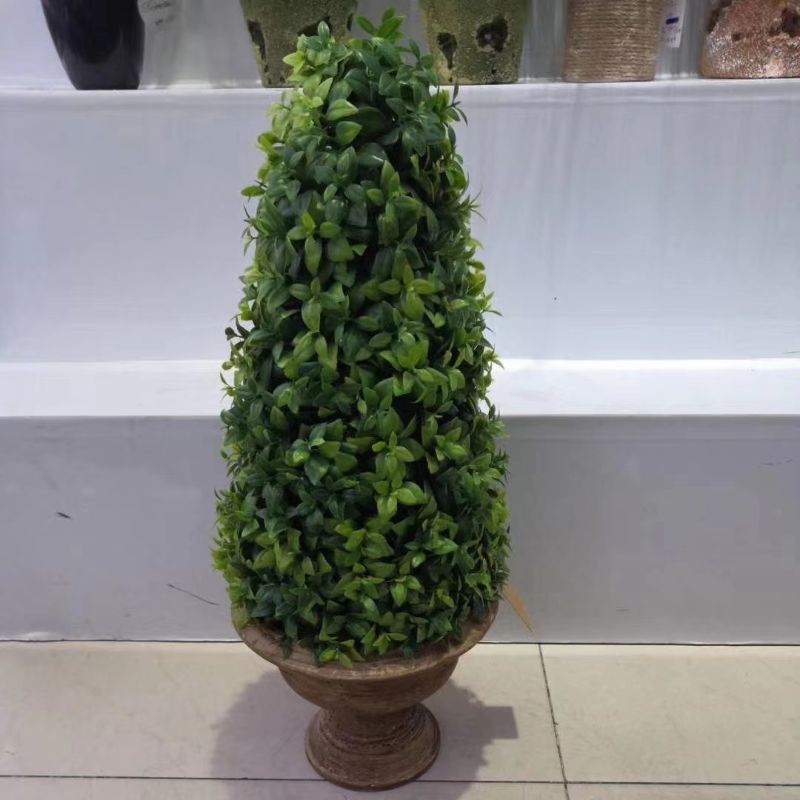 "Fresh and clean plants"