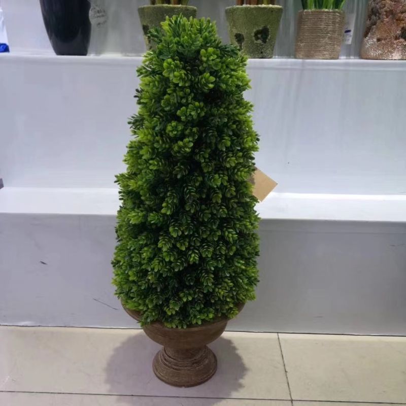 "Fresh and clean plants" details Picture