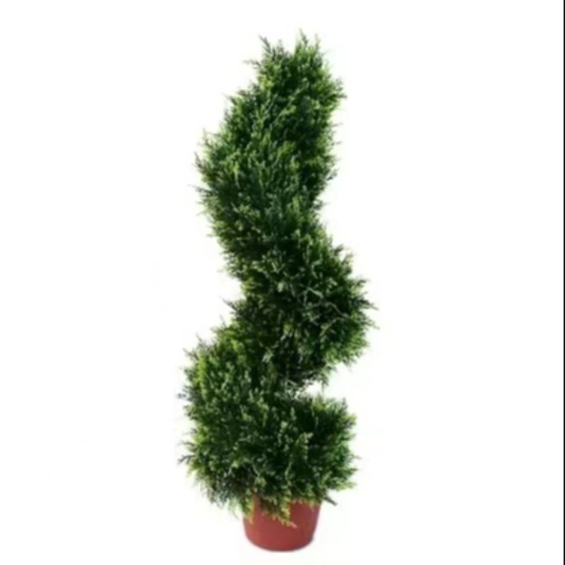 Bonsai