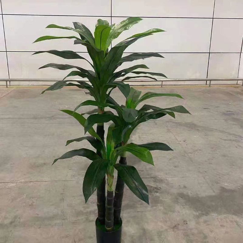 "Fresh and clean plants" Specification image