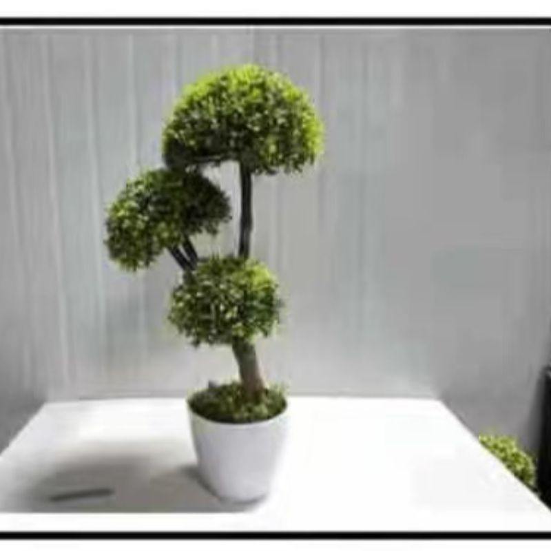 Bonsai
