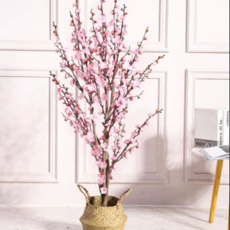 Bonsai Specification image
