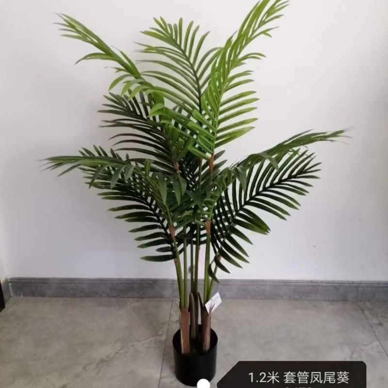 Green leaf bonsai Specification image