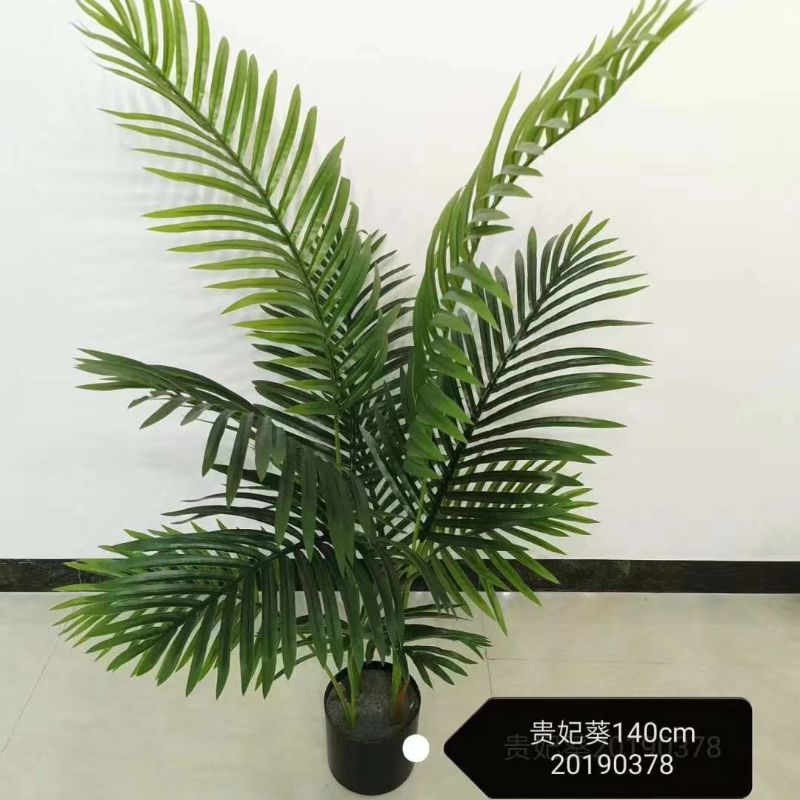 Green leaf bonsai details Picture