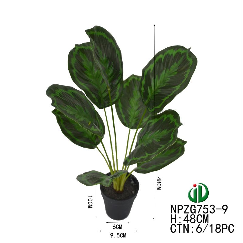 Bonsai Specification image