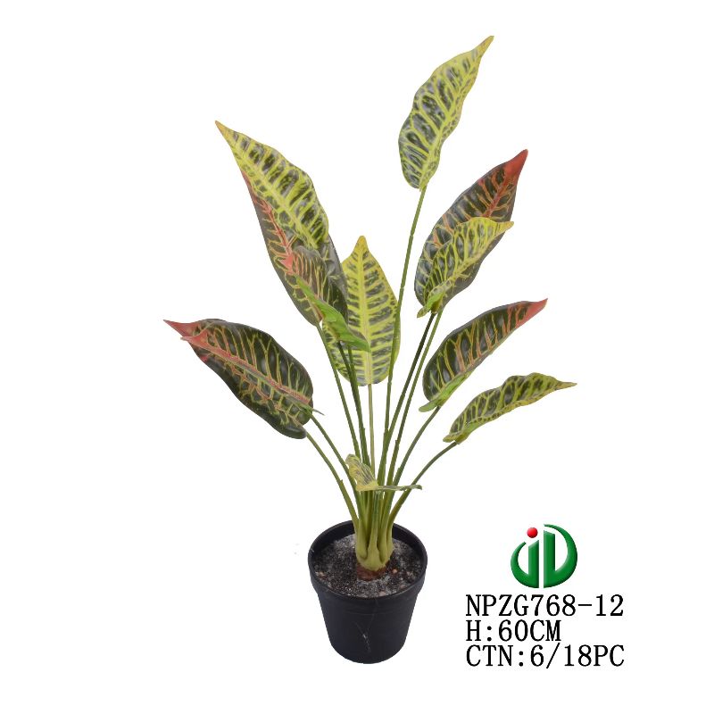 Bonsai Specification image