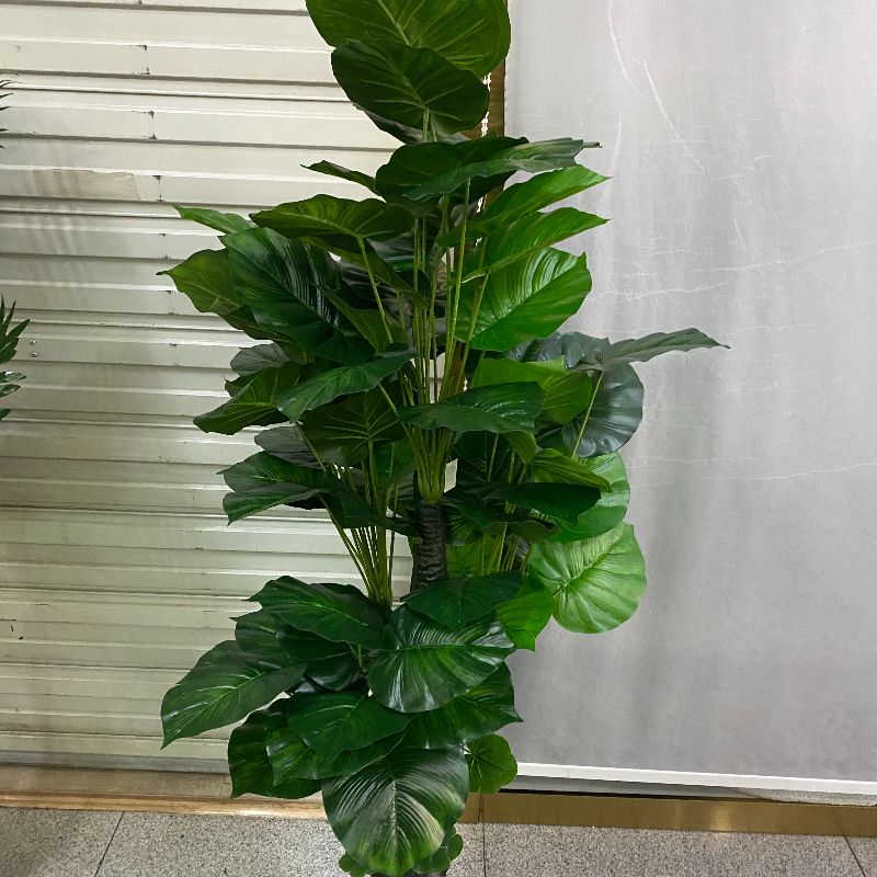 家居用品细节图