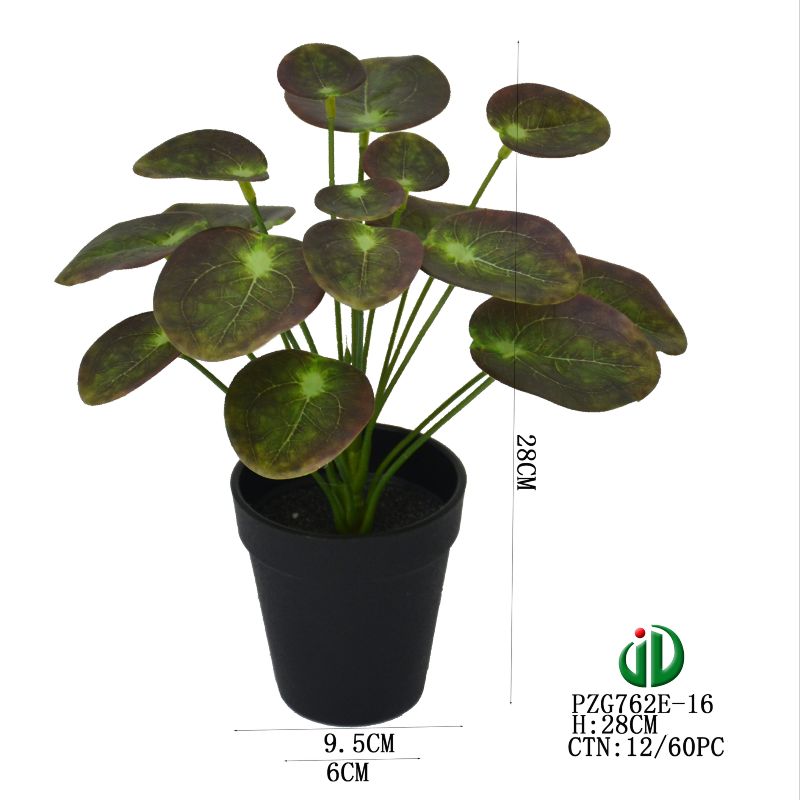 بونساي Specification image