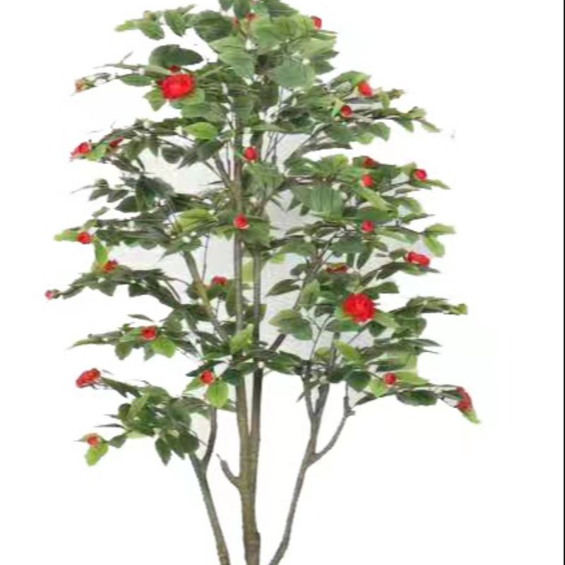 "Fresh and clean plants"