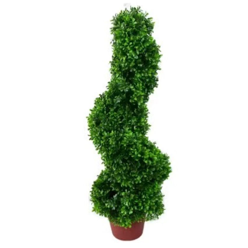 Bonsai details Picture