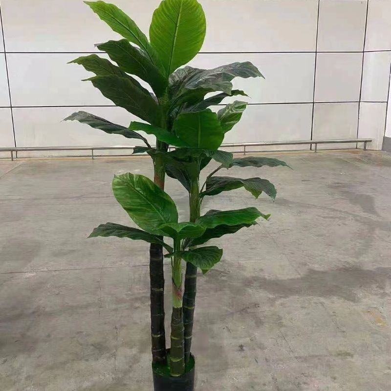 "Fresh and clean plants"