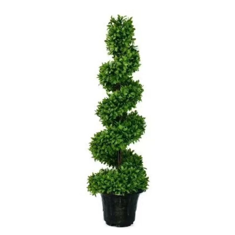 Bonsai details Picture