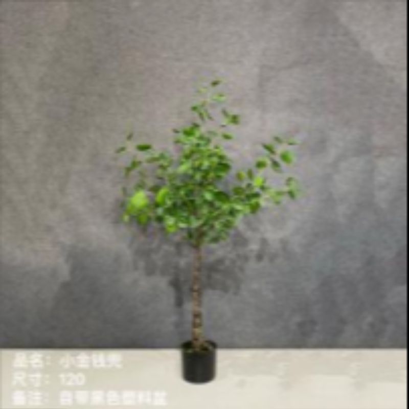 "Fresh and clean plants" details Picture