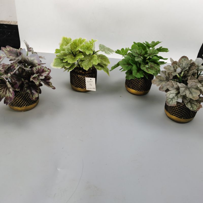 Bonsai Specification image