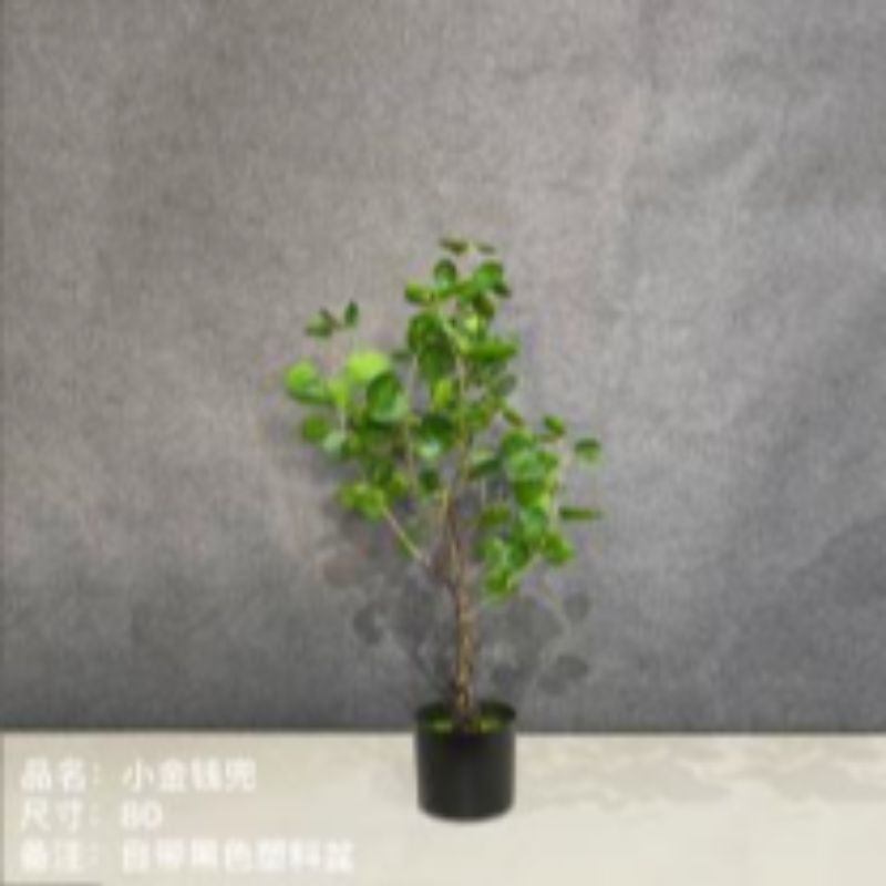 "Fresh and clean plants" Specification image