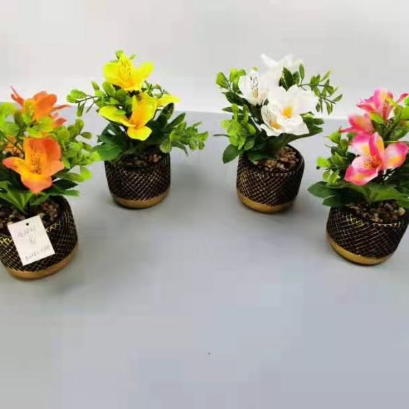 Bonsai Specification image
