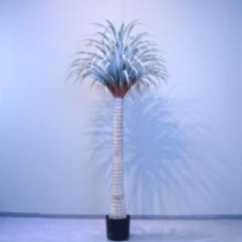 "Fresh and clean plants" Specification image
