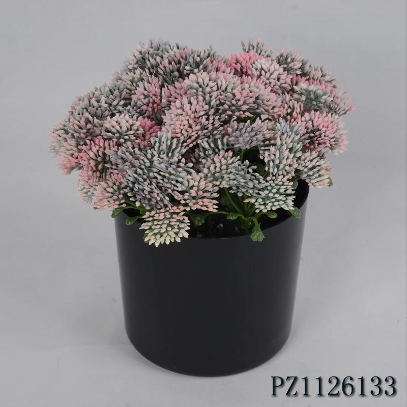 نباتات صغيرة Specification image