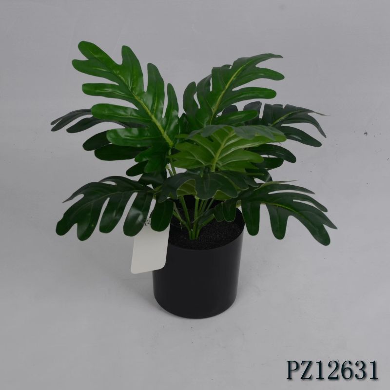 "Fresh and clean plants"