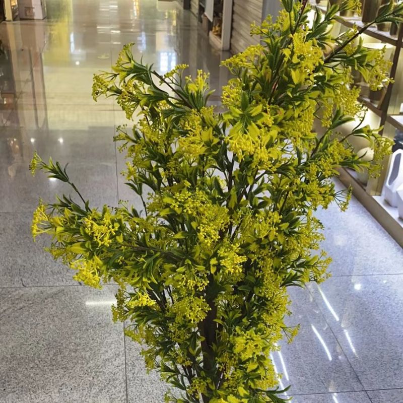 "Fresh and clean plants" details Picture