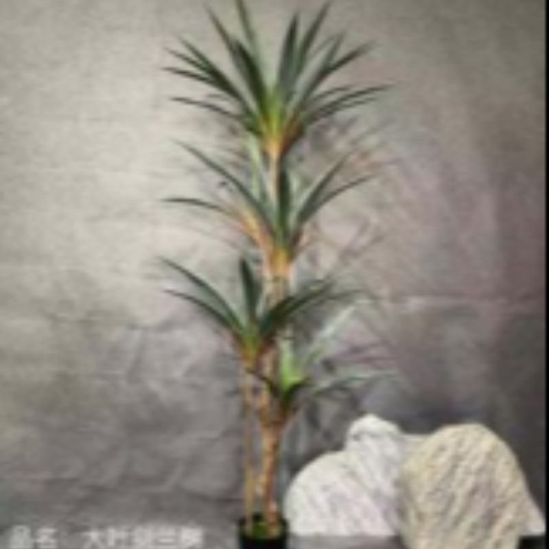 Bonsai Specification image