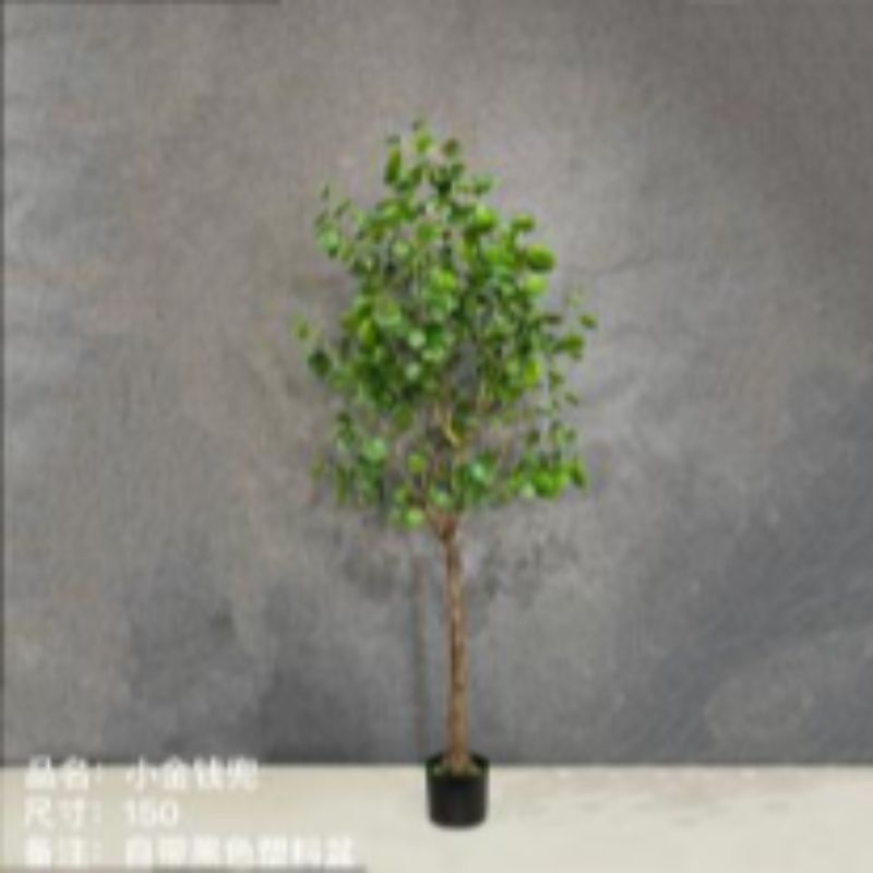 "Fresh and clean plants"