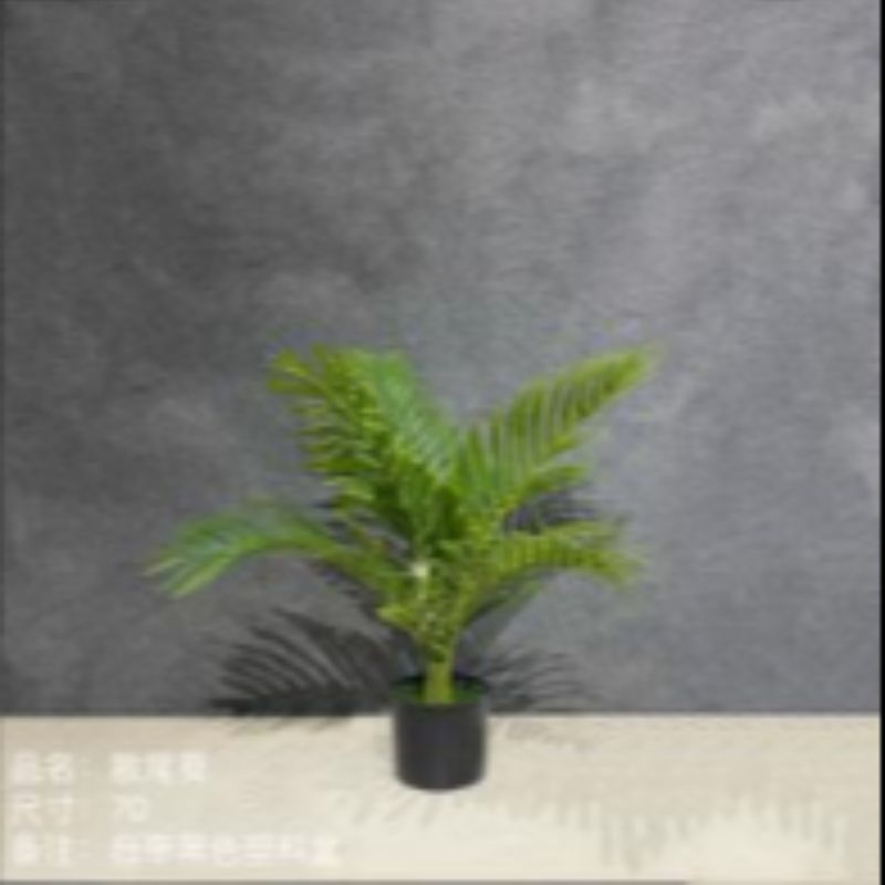 نباتات صغيرة Specification image