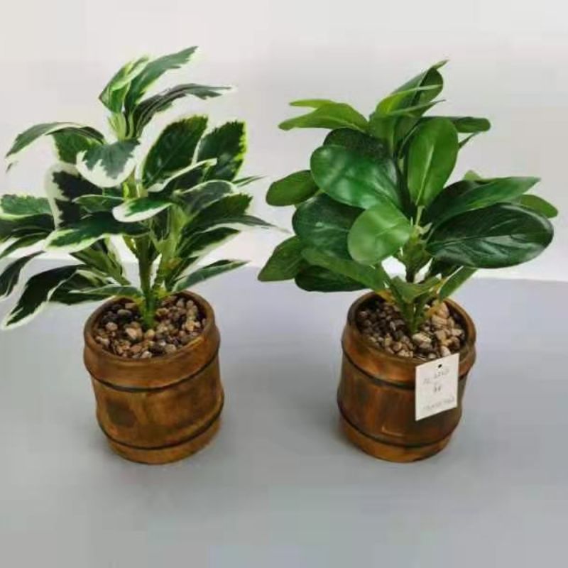 Bonsai Specification image