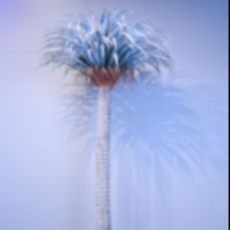 "Fresh and clean plants" details Picture