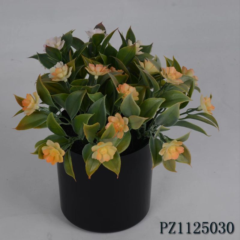 "Fresh and clean plants" details Picture