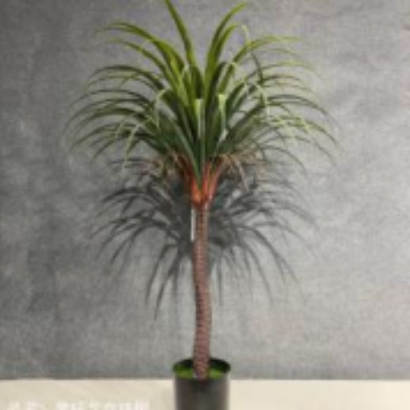 "Fresh and clean plants"