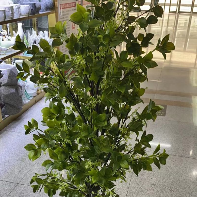 "Fresh and clean plants" Specification image